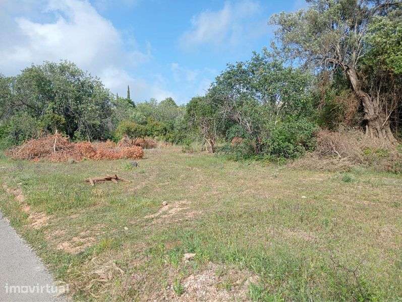 Vendo terreno em Loulé - Grande imagem: 4/5