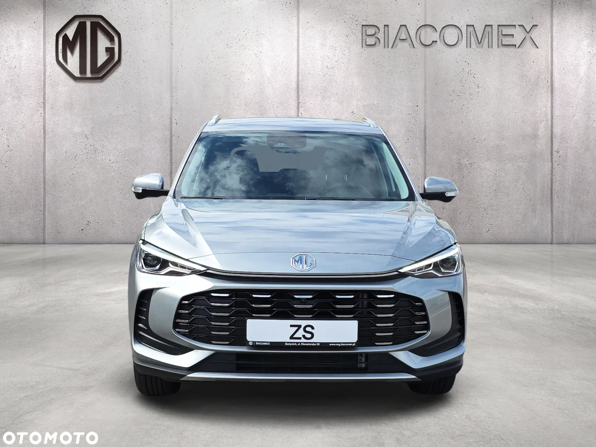MG ZS - 8
