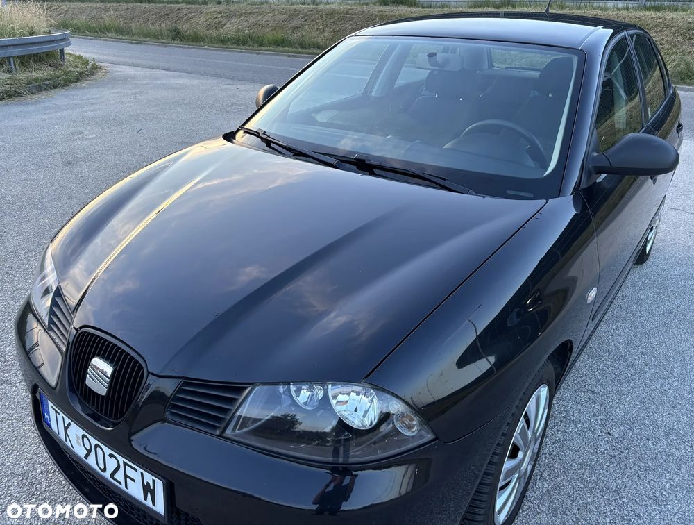 Seat Ibiza - 25