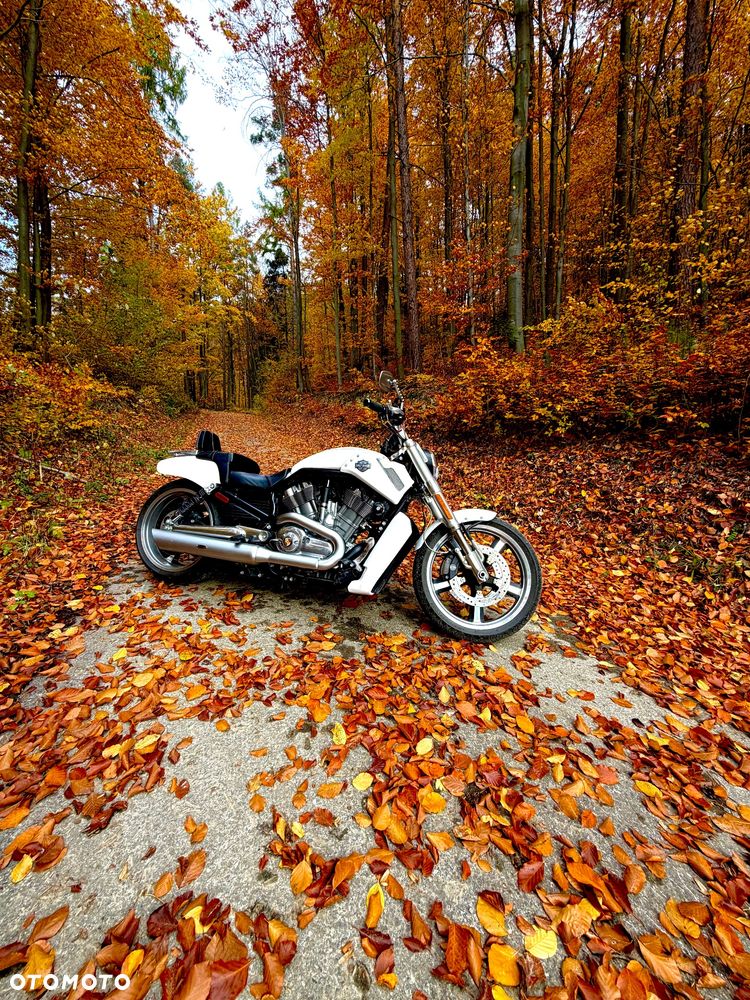 Harley-Davidson V-Rod Muscle - 2