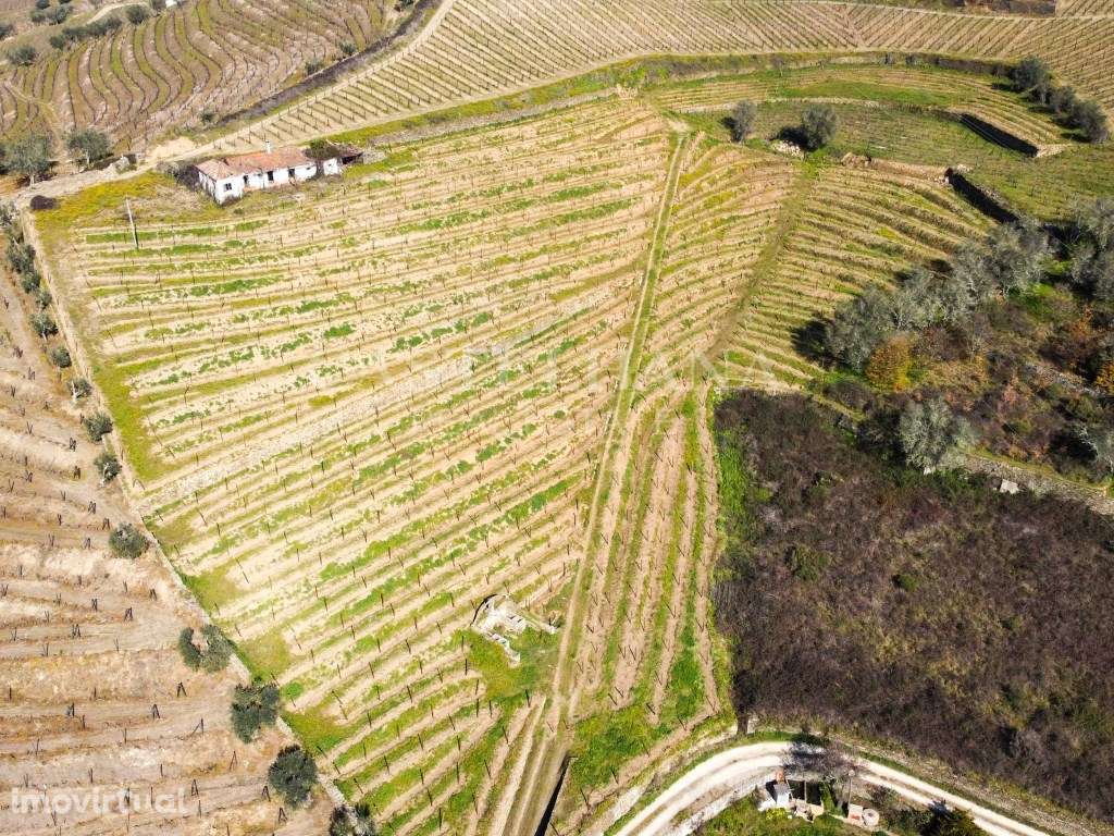 Quinta dos Corceiros - Grande imagem: 3/24