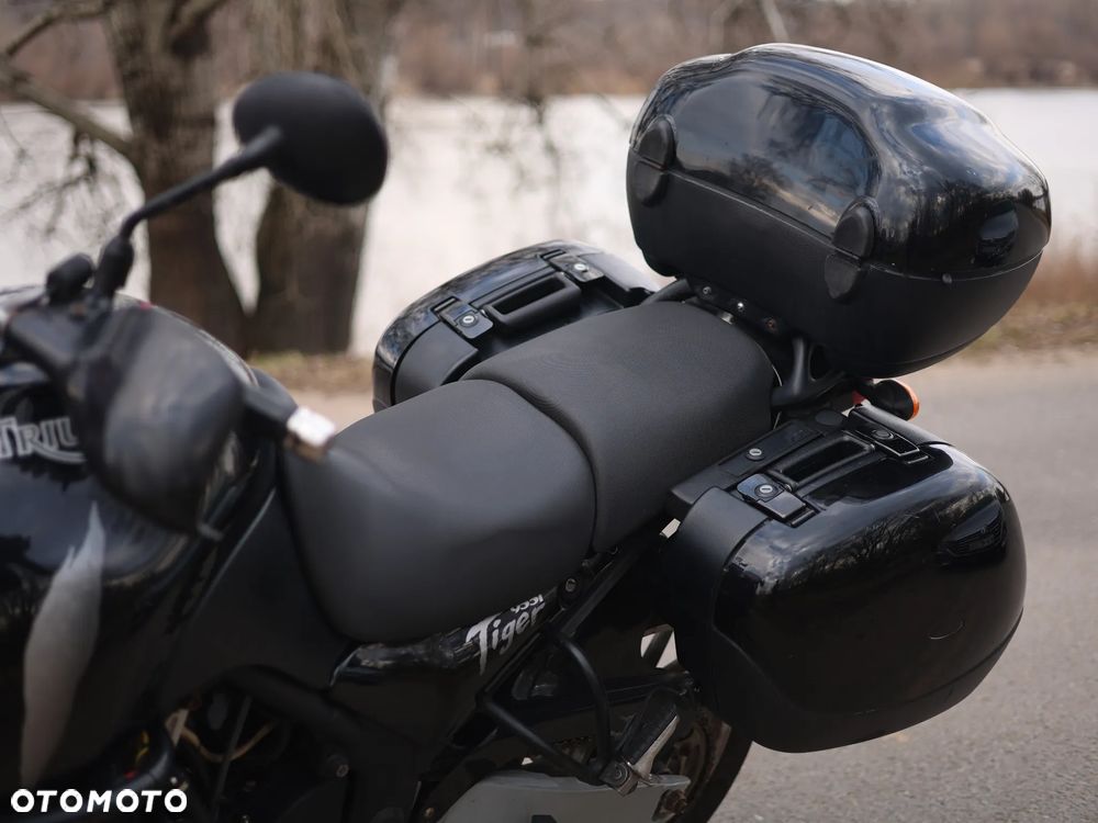 Triumph Tiger - 11