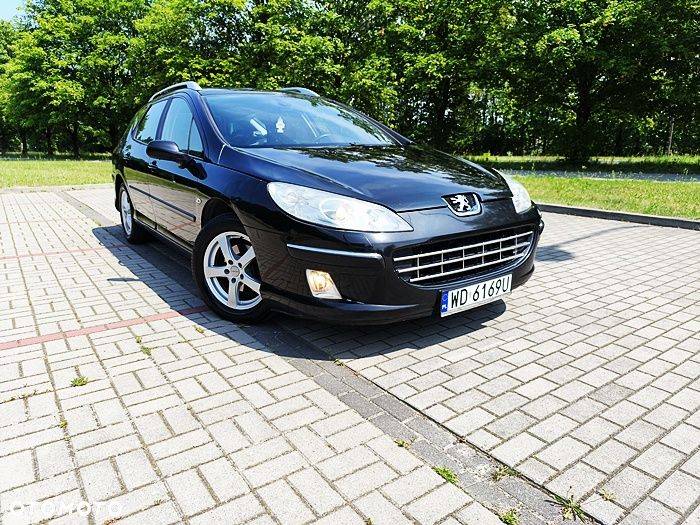 Peugeot 407 - 18