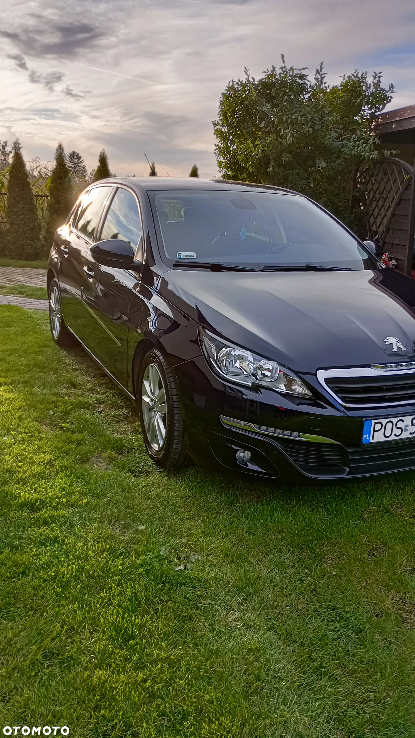 Peugeot 308 BlueHDi FAP 100 Stop&Start Access - 2