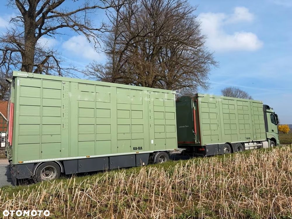 Mercedes-Benz Actros 2545 L 6x2 | Zestaw do transportu zwierząt Ka-ba - 3 poziomy + przegrody | 475 tys. km | Euro 6d - 4