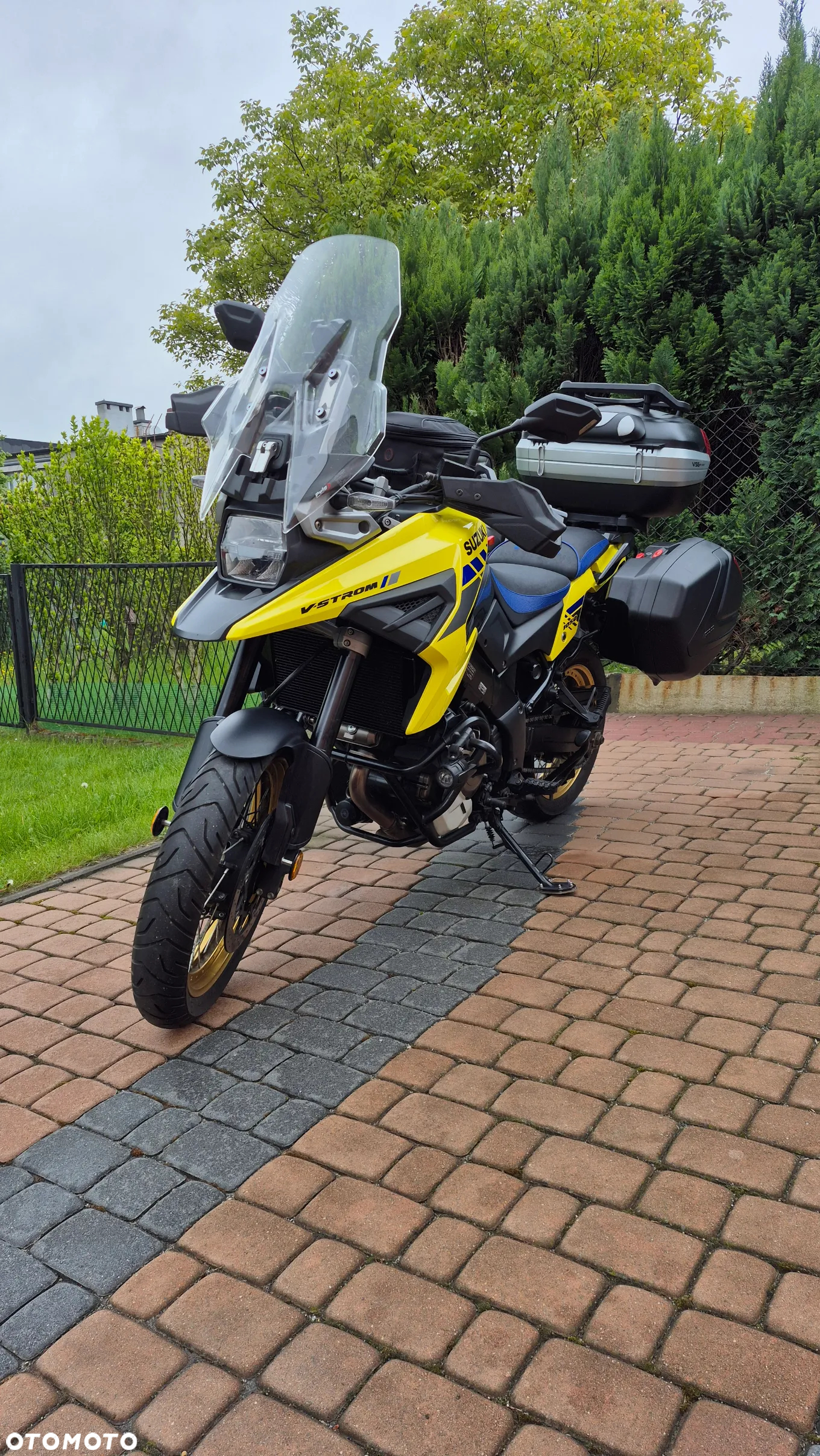 Suzuki DL - 2