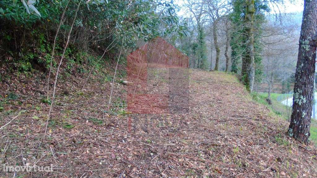 Vende-se Terreno, Pedregais - Grande imagem: 3/6