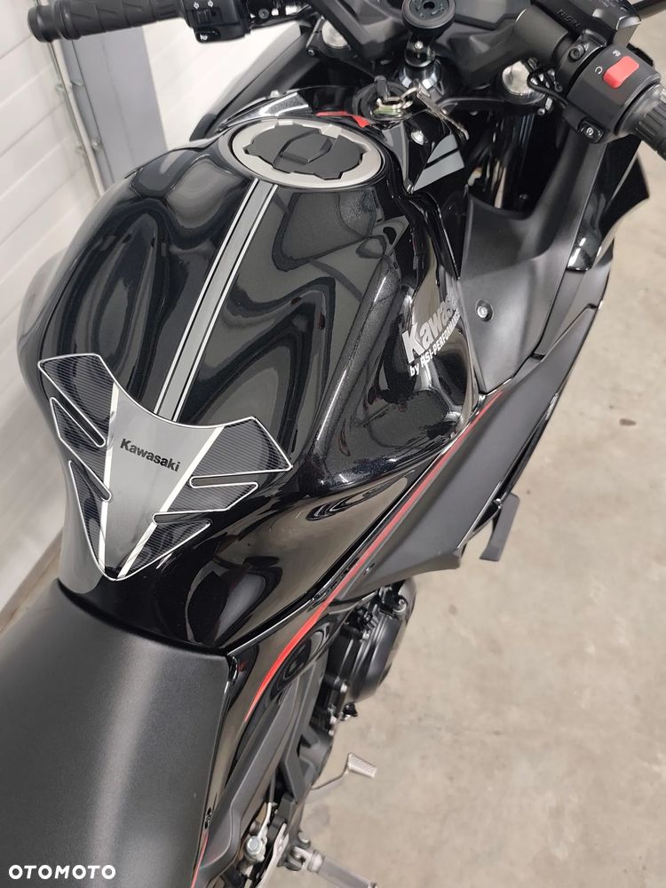 Kawasaki Ninja - 10