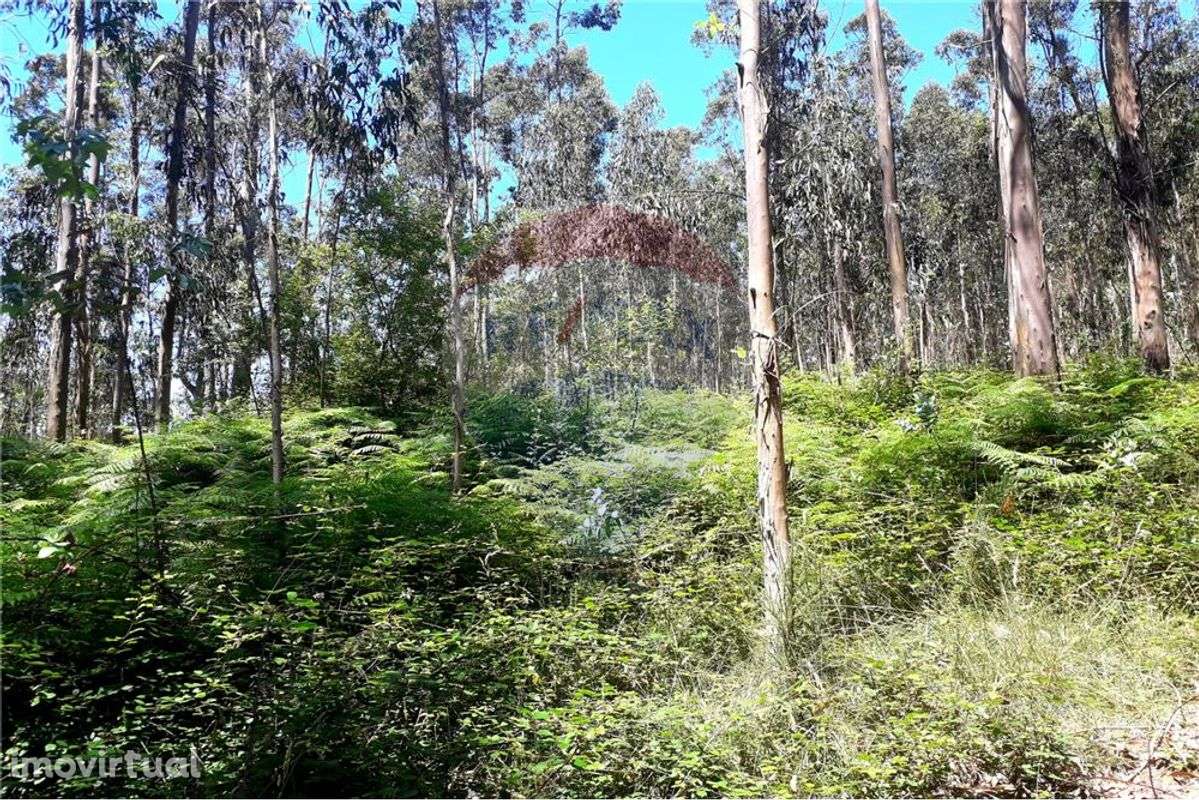 Terreno  para venda - Grande imagem: 2/5