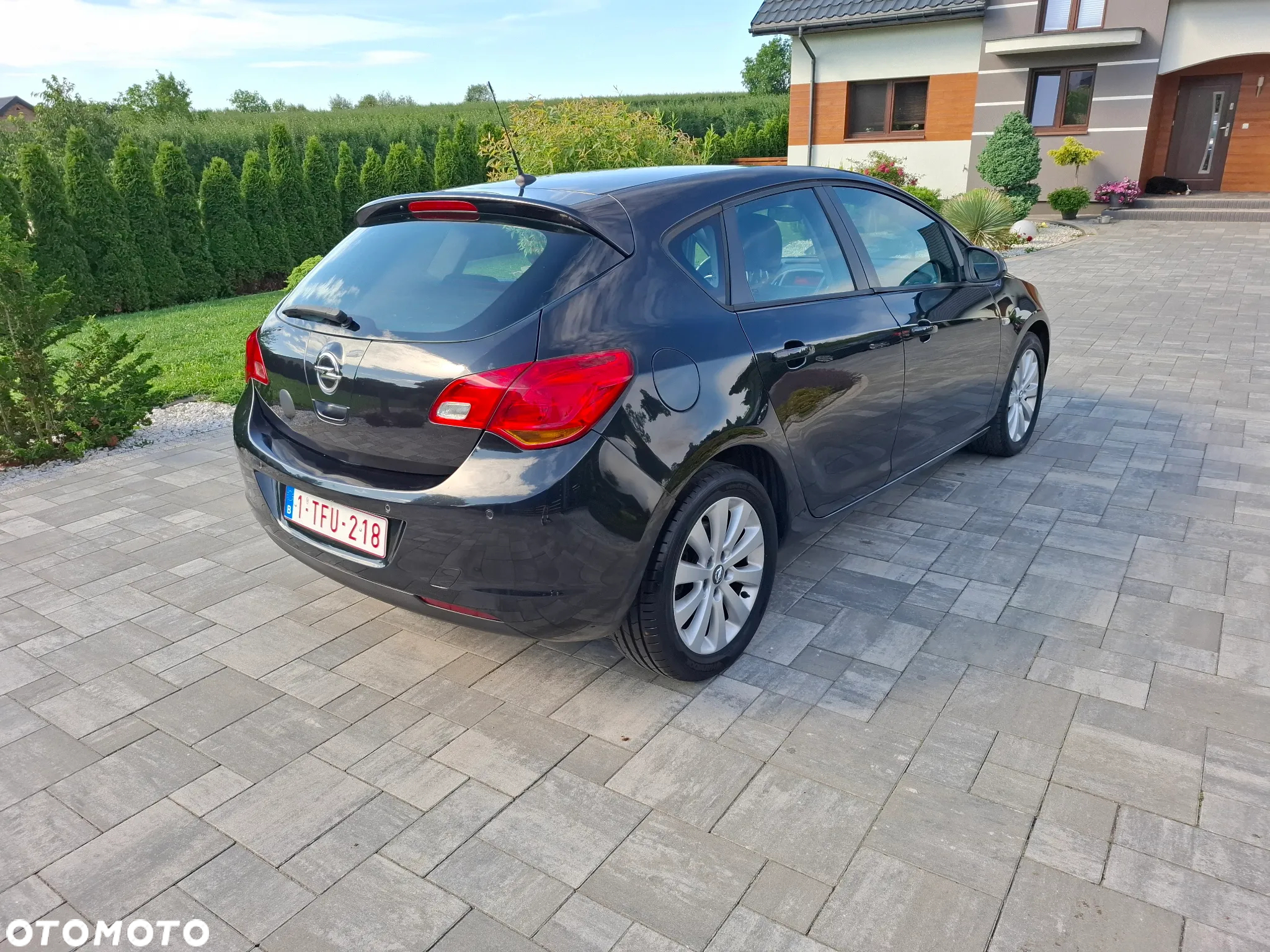 Opel Astra IV 1.7 CDTI Cosmo - 14