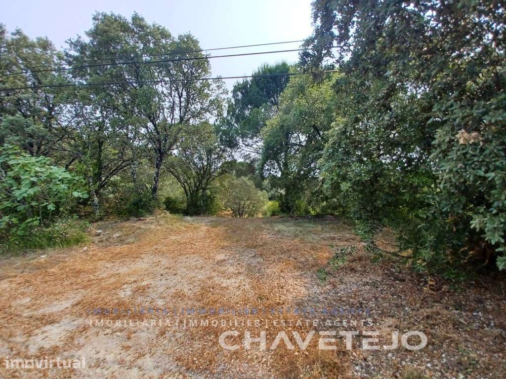 Terreno rústico com 7.740 m2 perto de Porto Mendo. - Grande imagem: 3/5