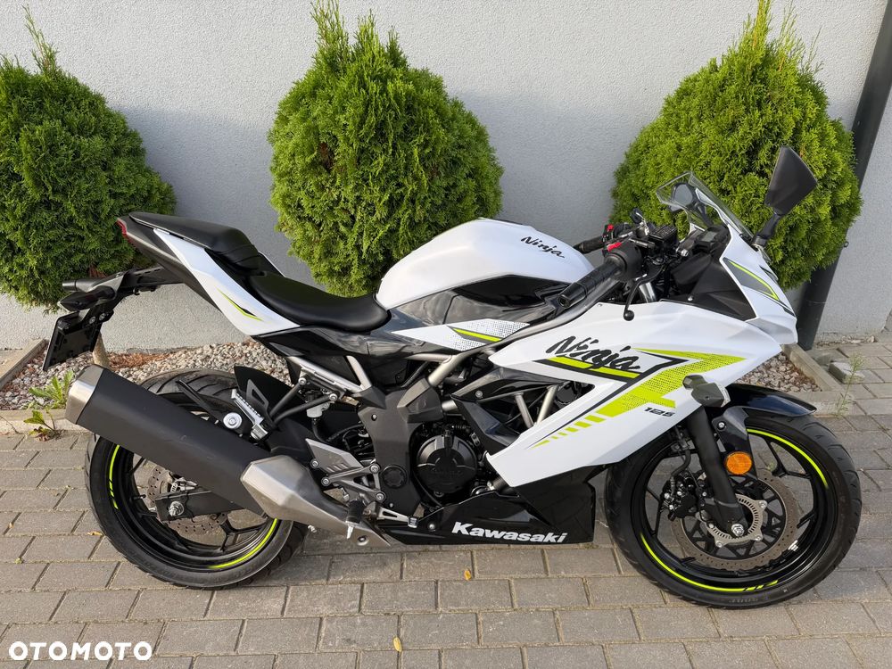 Kawasaki Ninja - 40