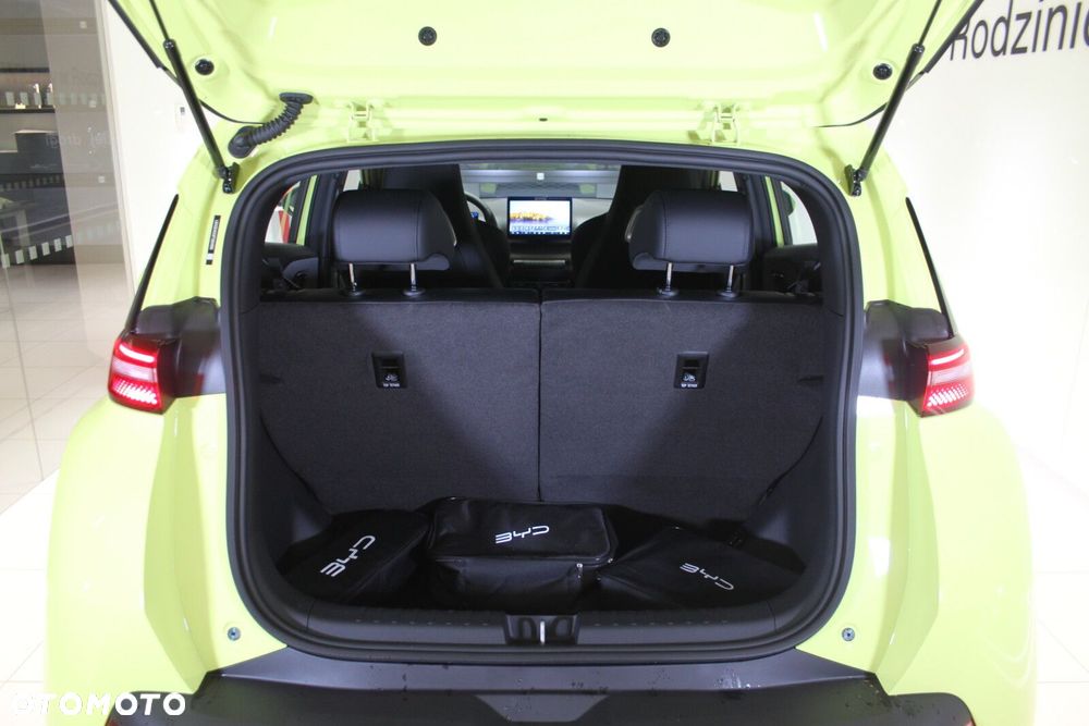 BYD Dolphin Surf - 22