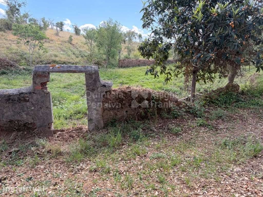 Terreno de 6,57 ha para venda na Costa Alentejana - Grande imagem: 2/15