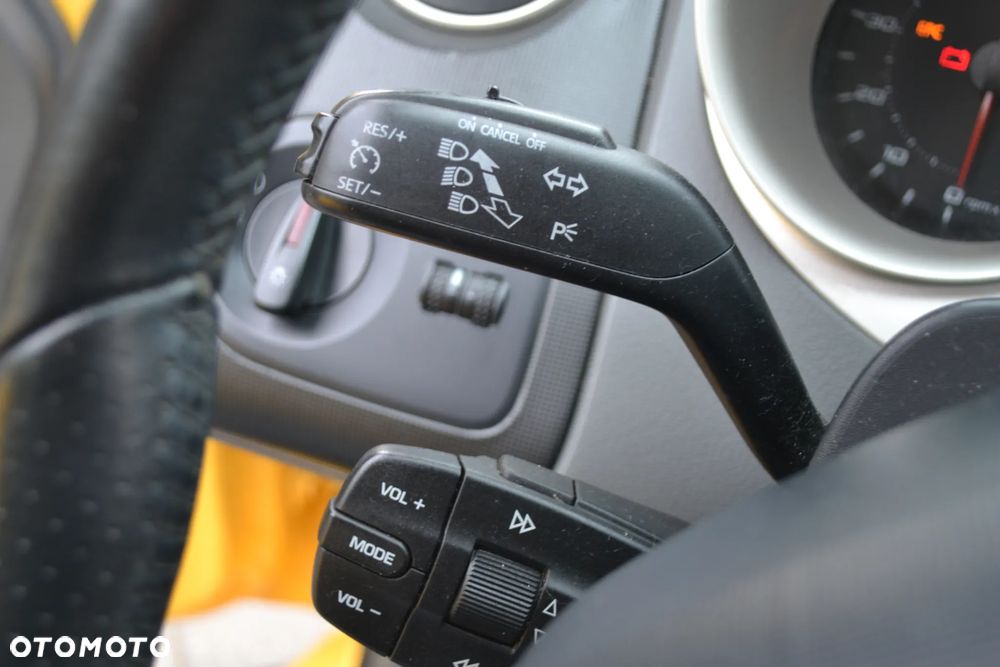Seat Ibiza - 29