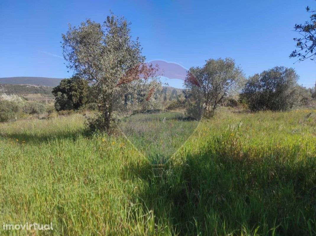 Terreno  para venda - Grande imagem: 5/5