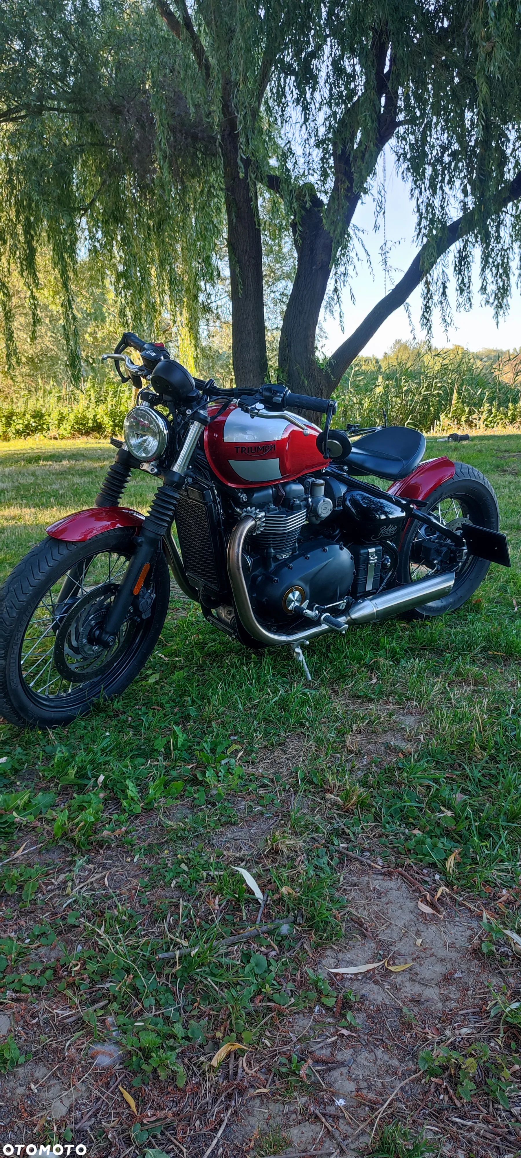Triumph Bonneville Bobber - 1