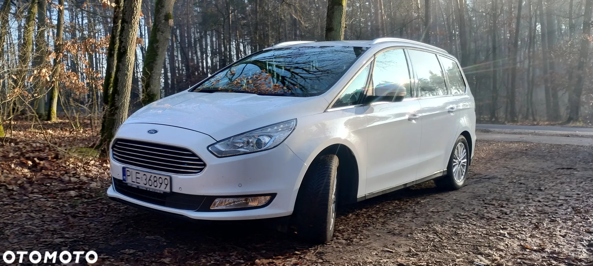 Ford Galaxy 2.0 TDCi 4WD Titanium PowerShift - 5