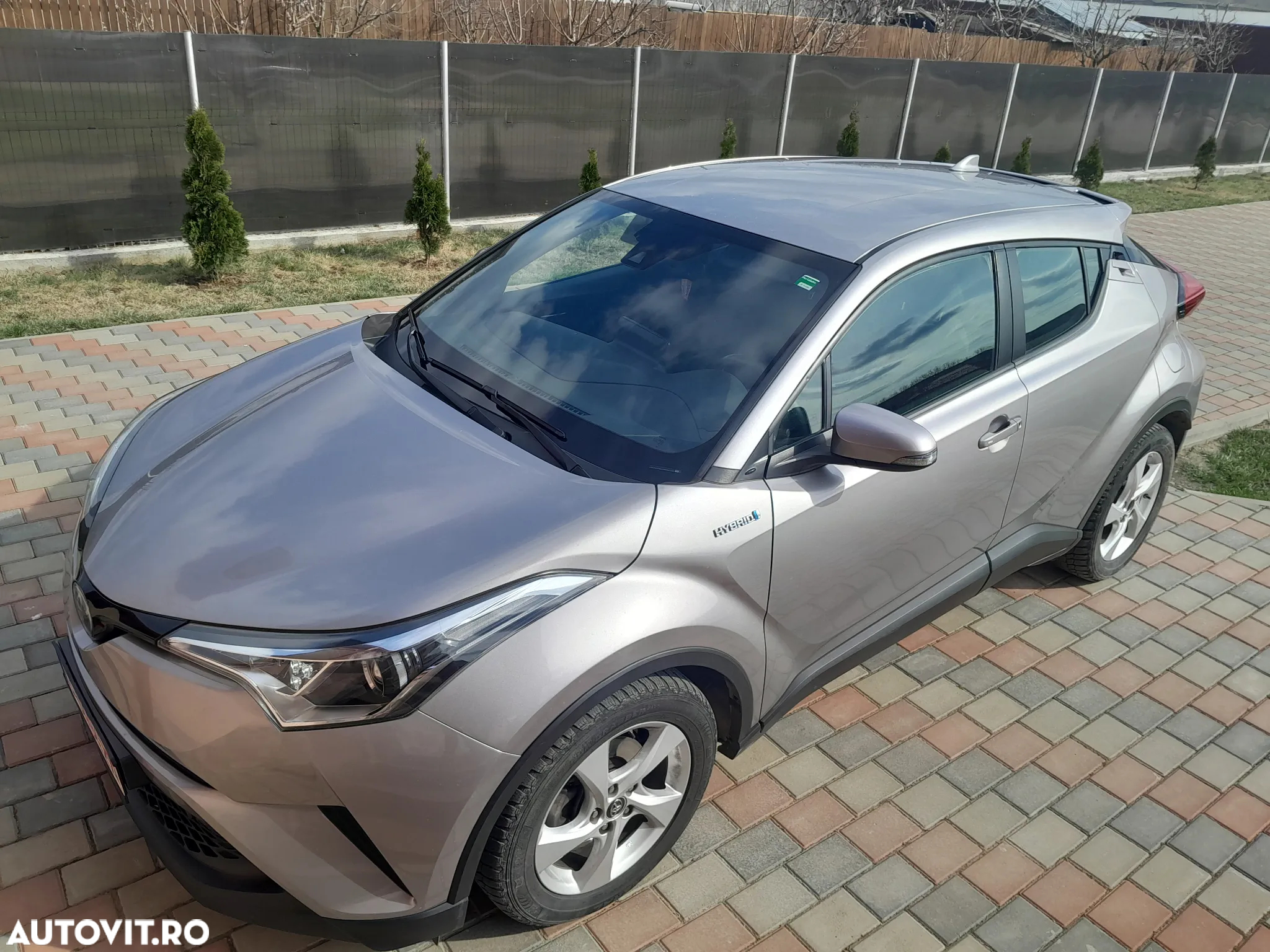 Toyota C-HR ver-hybrid-business--edition - 10