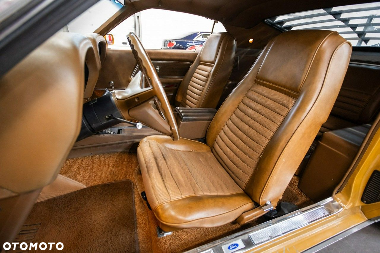 Ford Mustang - 22