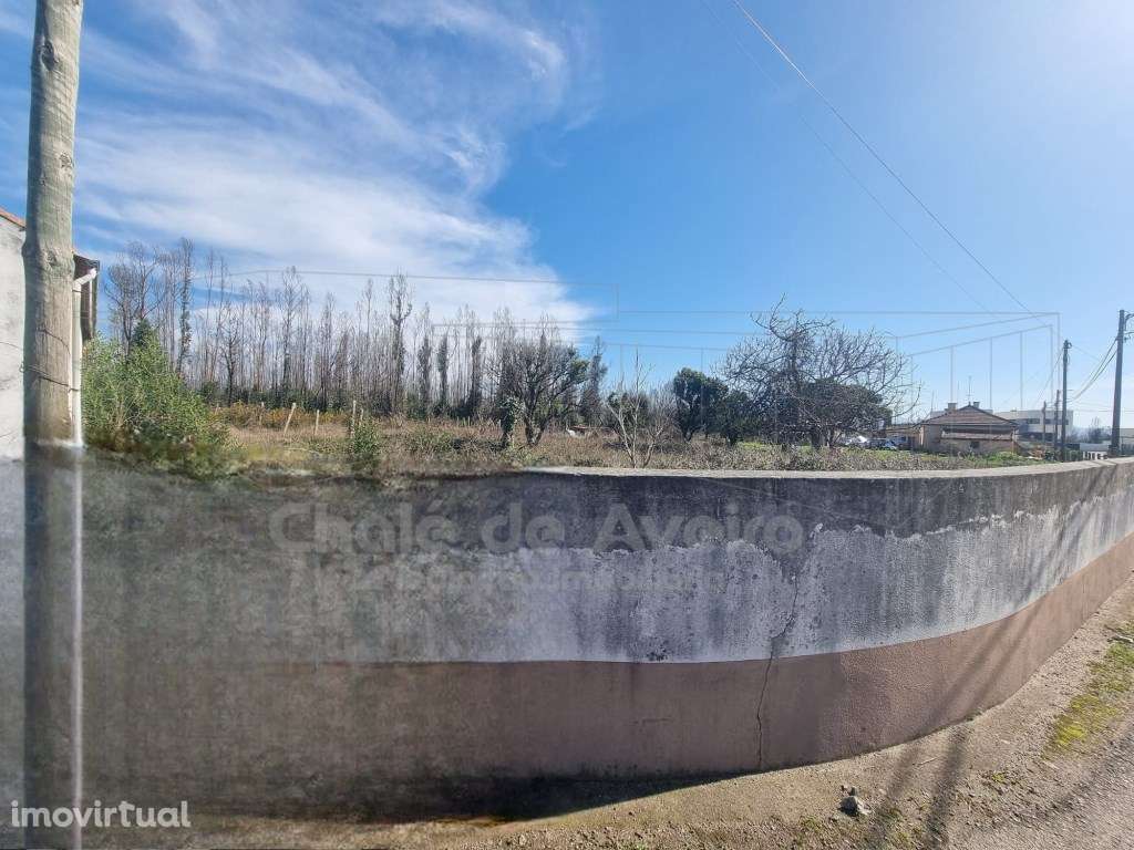 Armazém com terreno em Albergaria-a-Velha - Grande imagem: 4/4