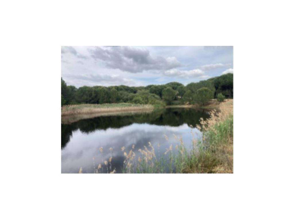 Terreno - até 100% Financiamento - Grande imagem: 4/5