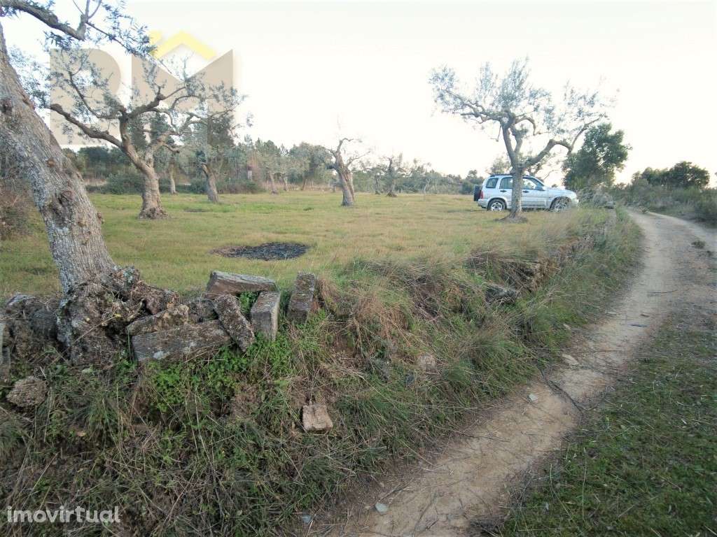 Quintinha em Palvarinho - Grande imagem: 2/26