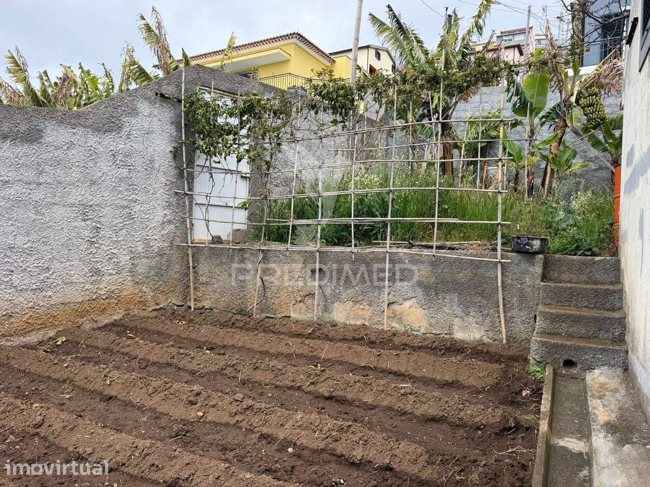 Casa térrea com terreno agrícola - Grande imagem: 2/16