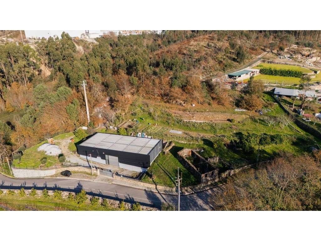 Quinta com Terreno, Armazém e Ruína em Gonça, Guimarães - Oportunid... - Grande imagem: 2/36