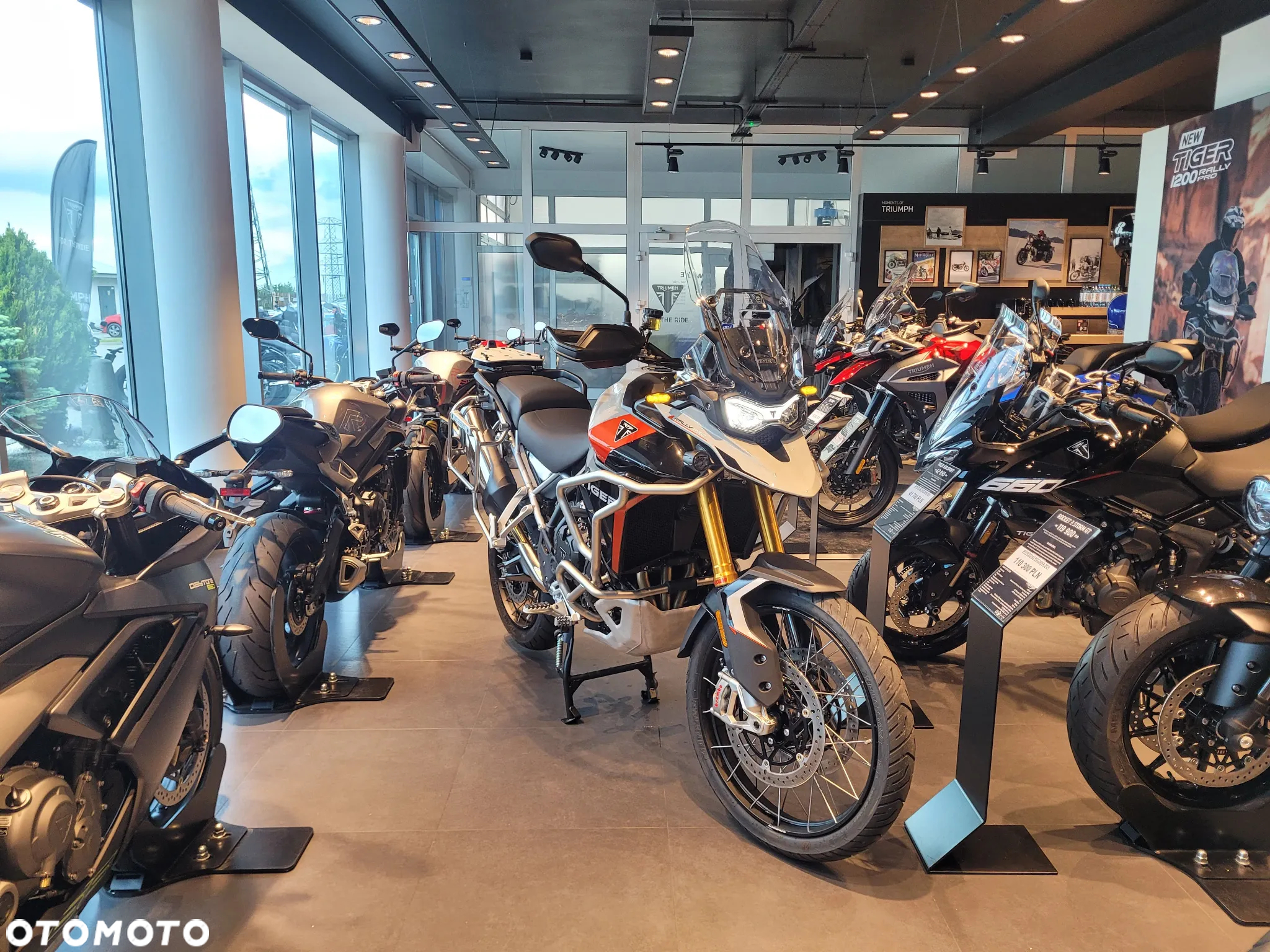 Triumph Tiger