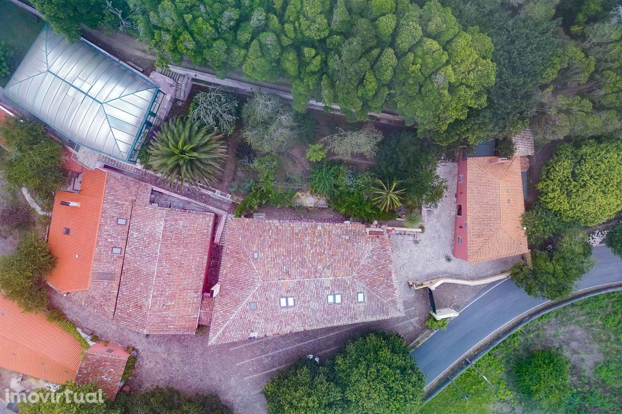 Quinta única em Colares - Grande imagem: 4/49