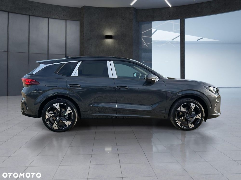 Cupra Terramar 1.5 eTSI mHEV Advantage Edition DSG - 10