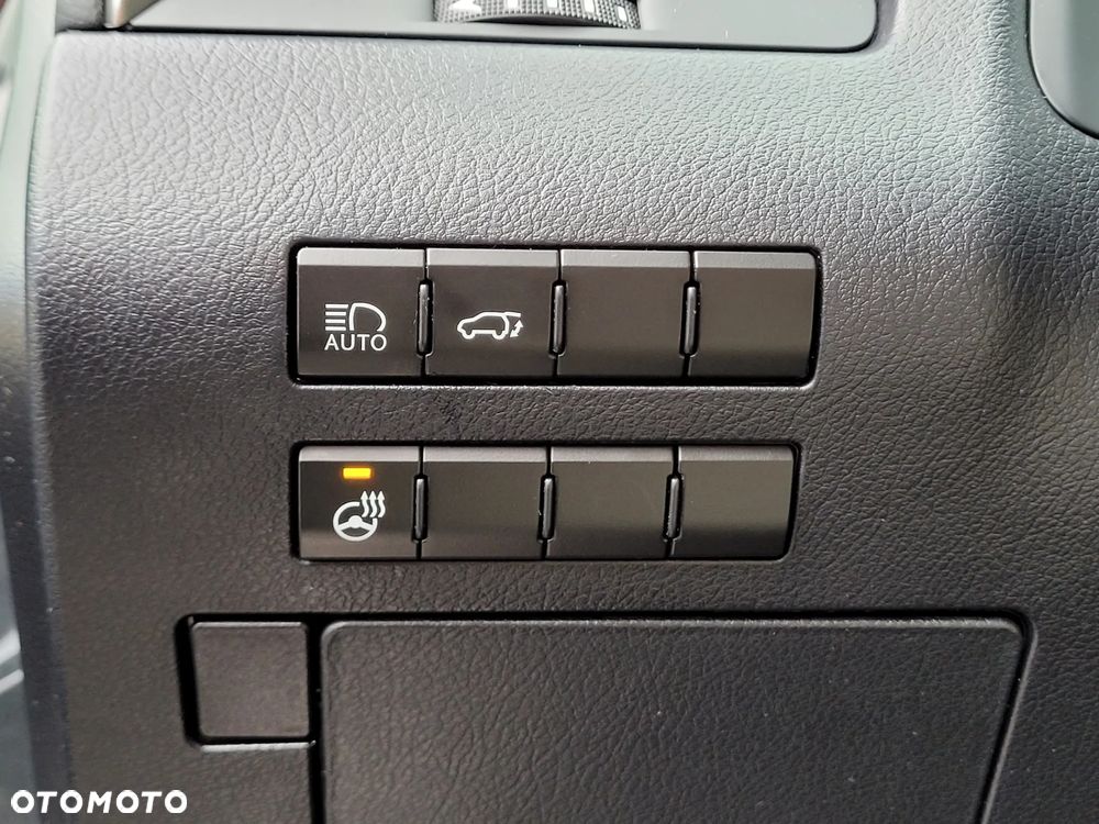 Lexus RX 450h F-Impression - 29