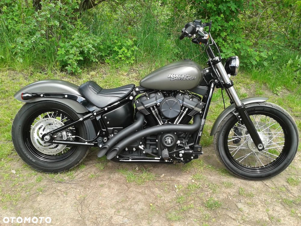 Harley-Davidson Softail Blackline - 14