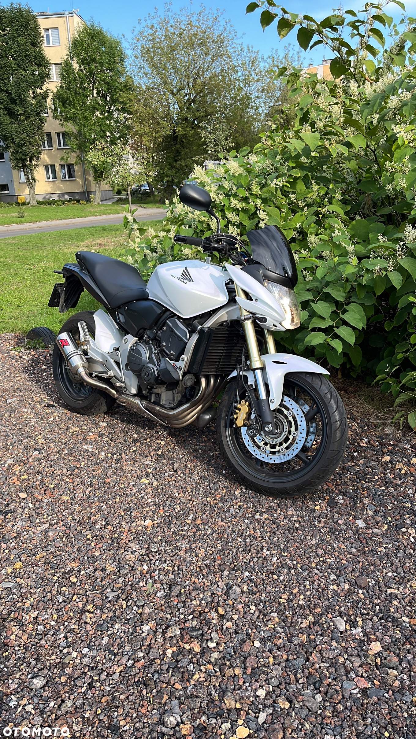 Honda Hornet - 12