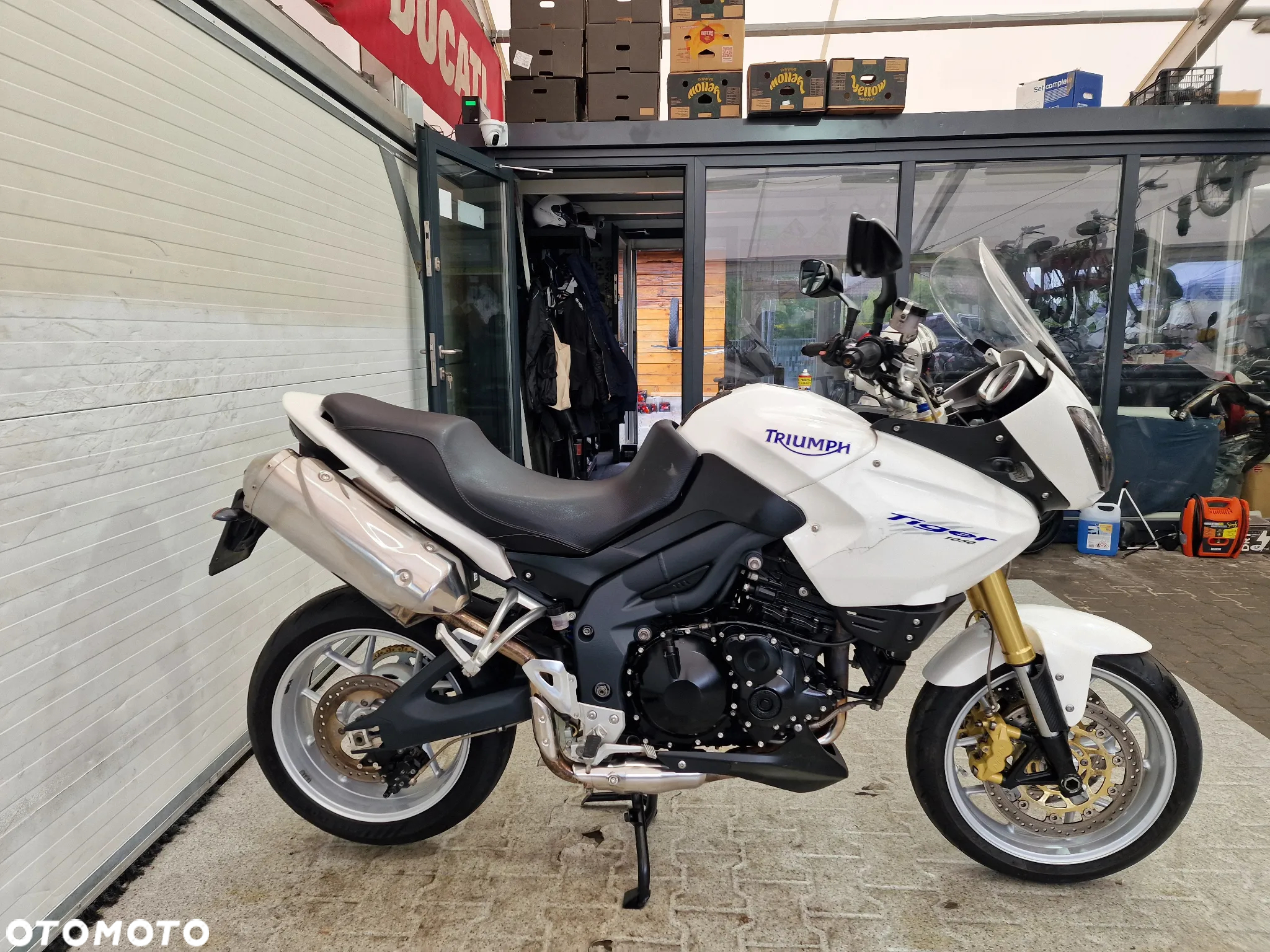 Triumph Tiger - 17