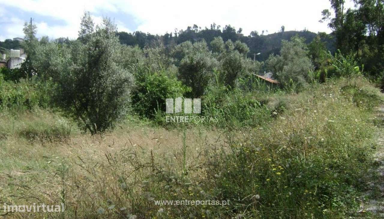 Venda Terreno, Soalhães, Marco de Canaveses - Grande imagem: 5/6