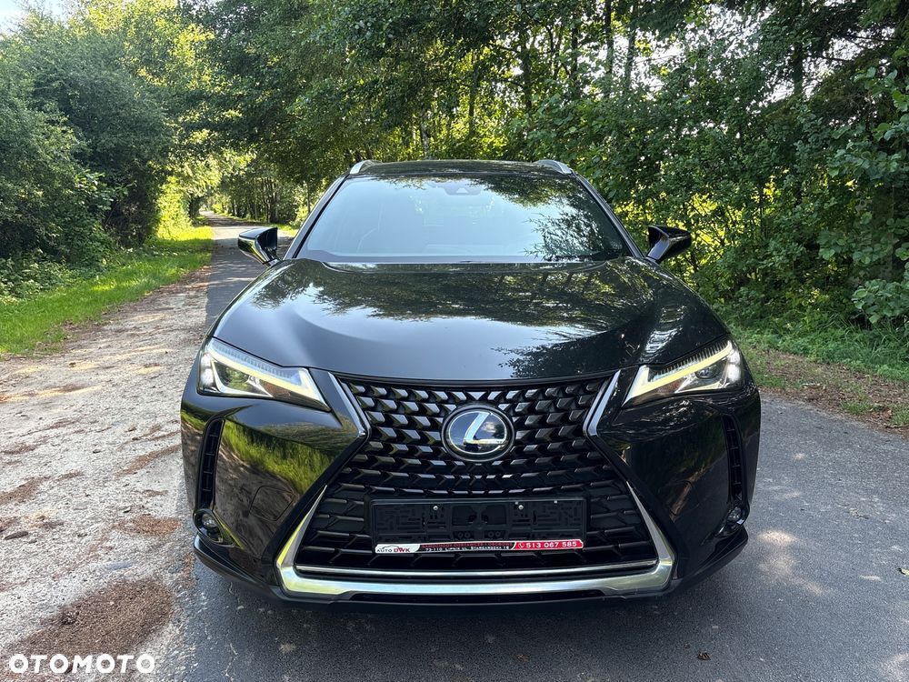 Lexus UX - 5