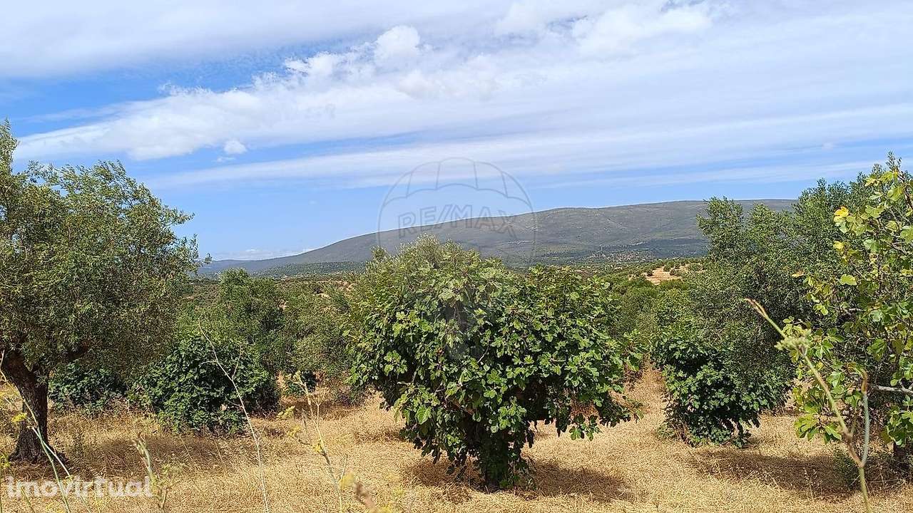 Terreno  para venda - Grande imagem: 5/6