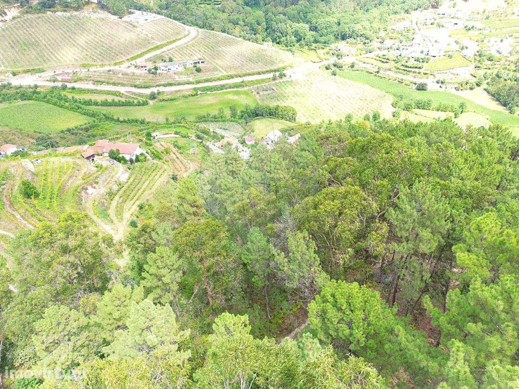 Terreno  para venda - Grande imagem: 3/5