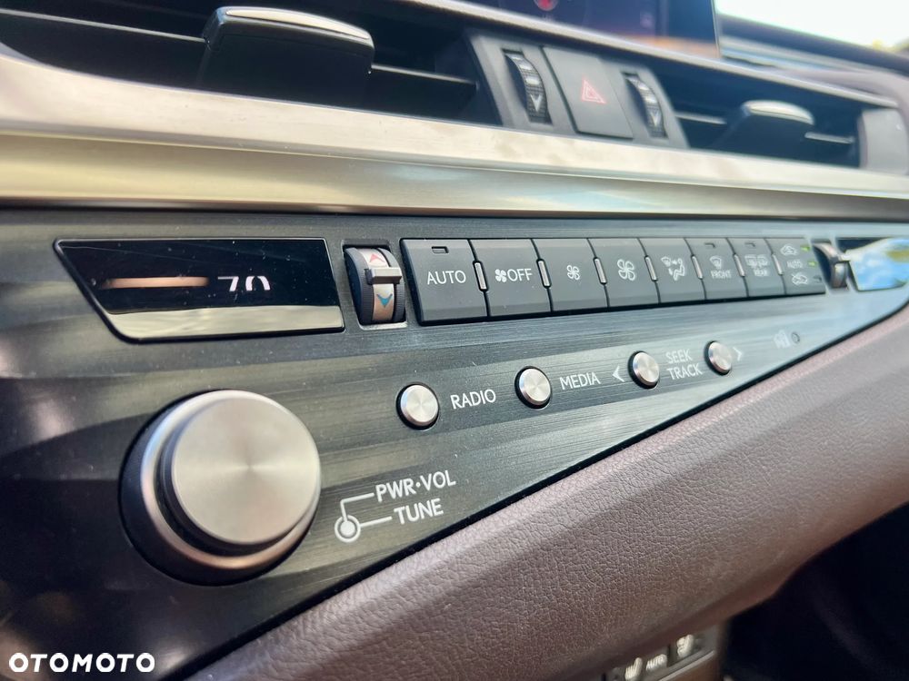 Lexus ES 300h F Sport - 19