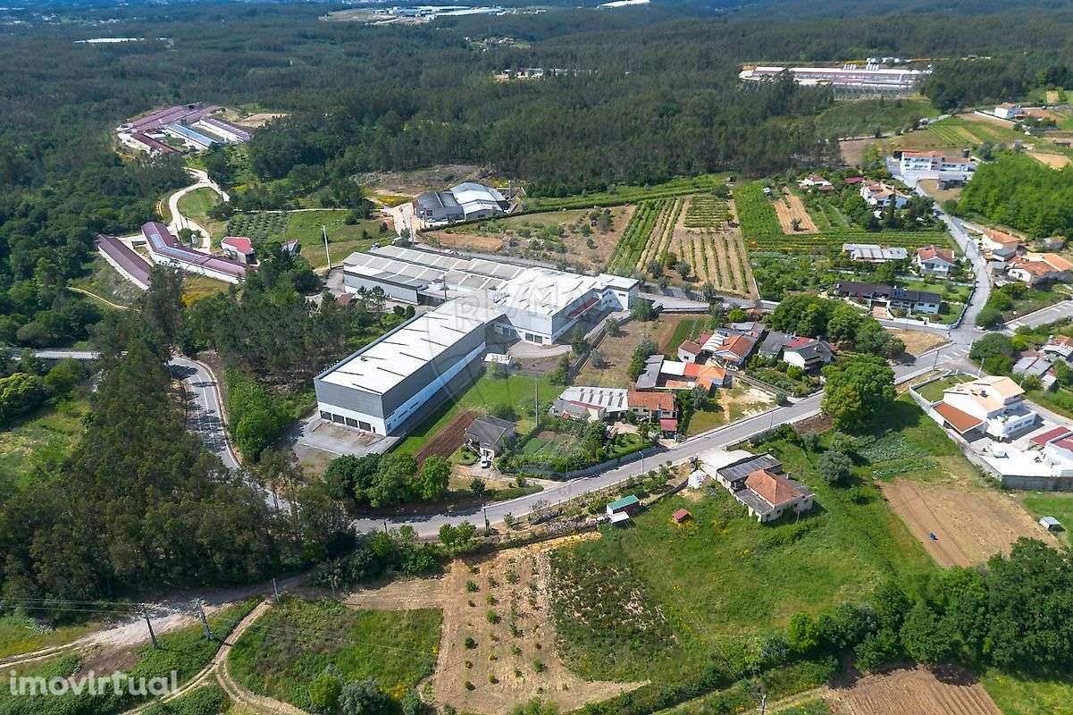 Armazém  para venda - Grande imagem: 2/47