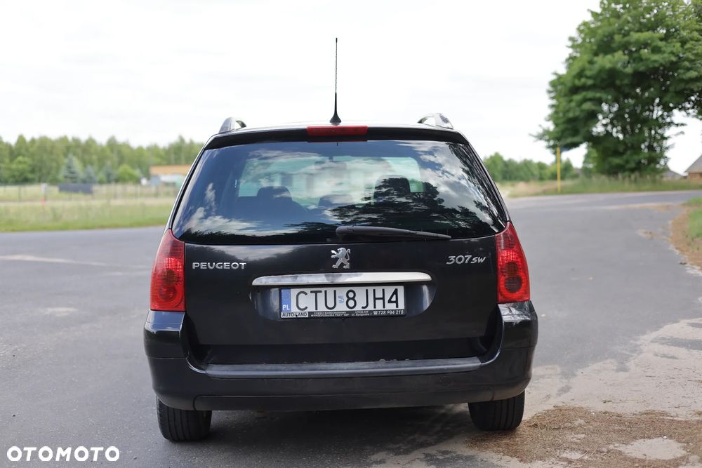 Peugeot 307 2.0 Mistral - 11