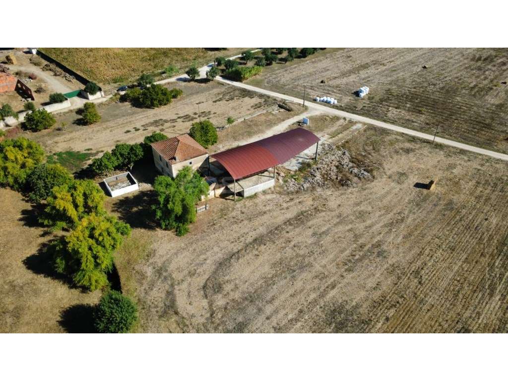 Quinta em Torres Novas com projeto de remodelação junto ao Rio Almonda - Grande imagem: 4/38