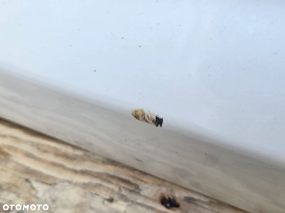 DRZWI LEWY TYL  FORD KUGA MK2 LIFT VIGNALE  KOLOR AD - 6