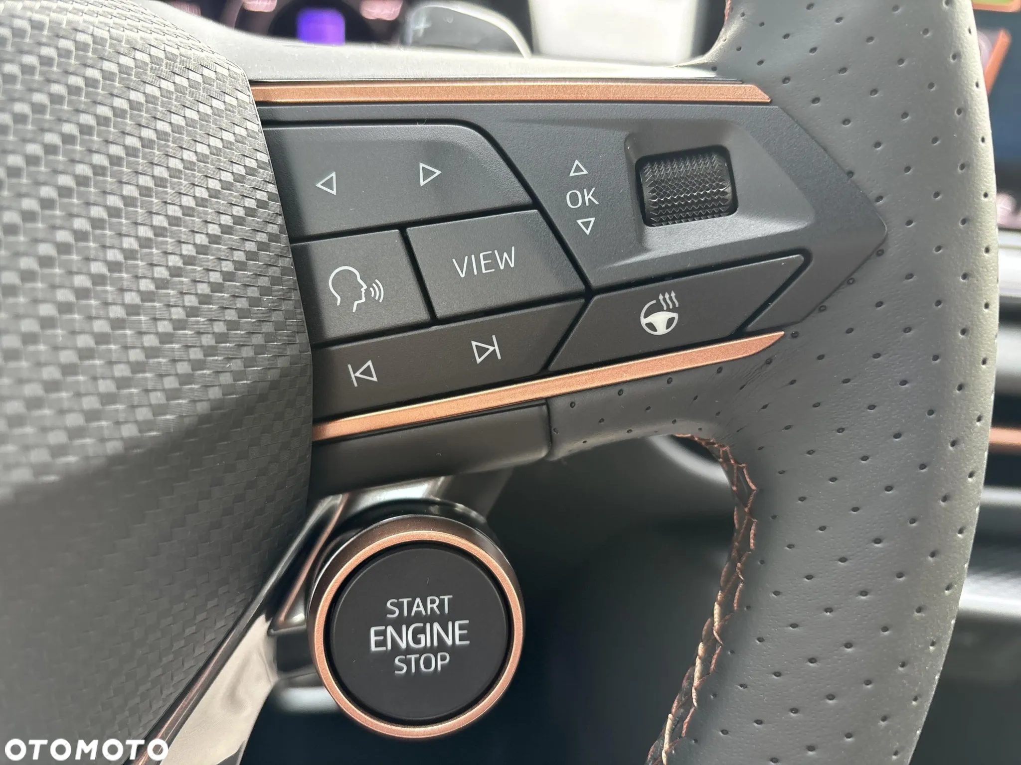 Cupra Terramar 2.0 TSI 4Drive DSG - 22