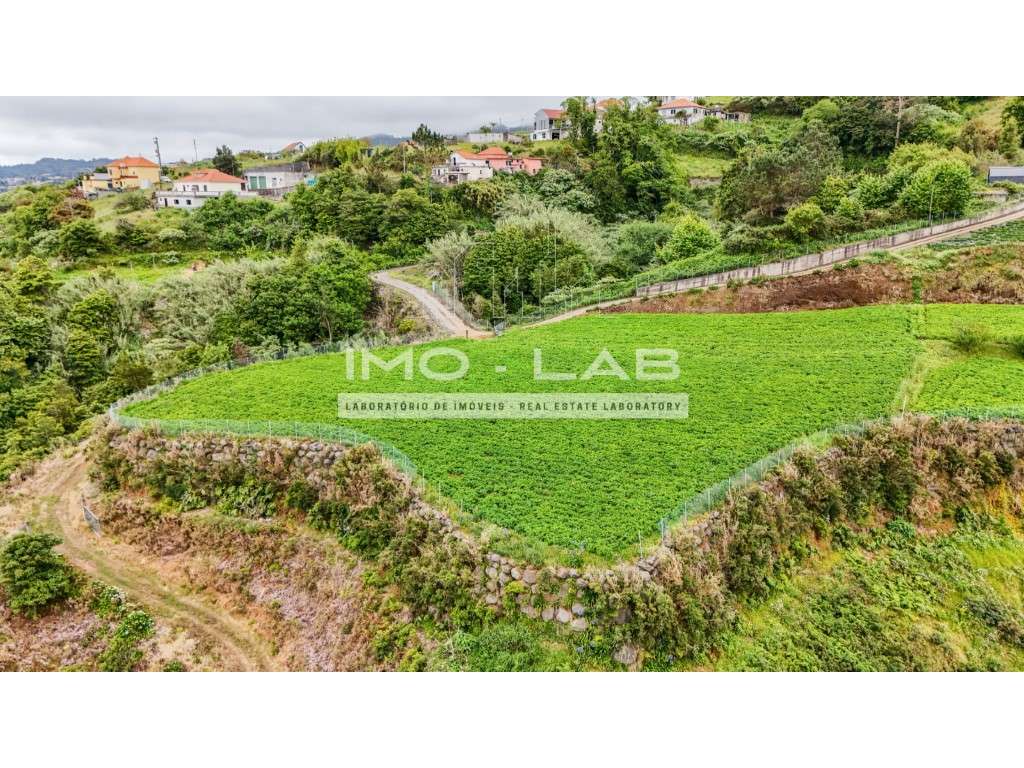 Armazém + 25.566m2 de Terreno Cultivado - São Jorge - Santana - Grande imagem: 5/19