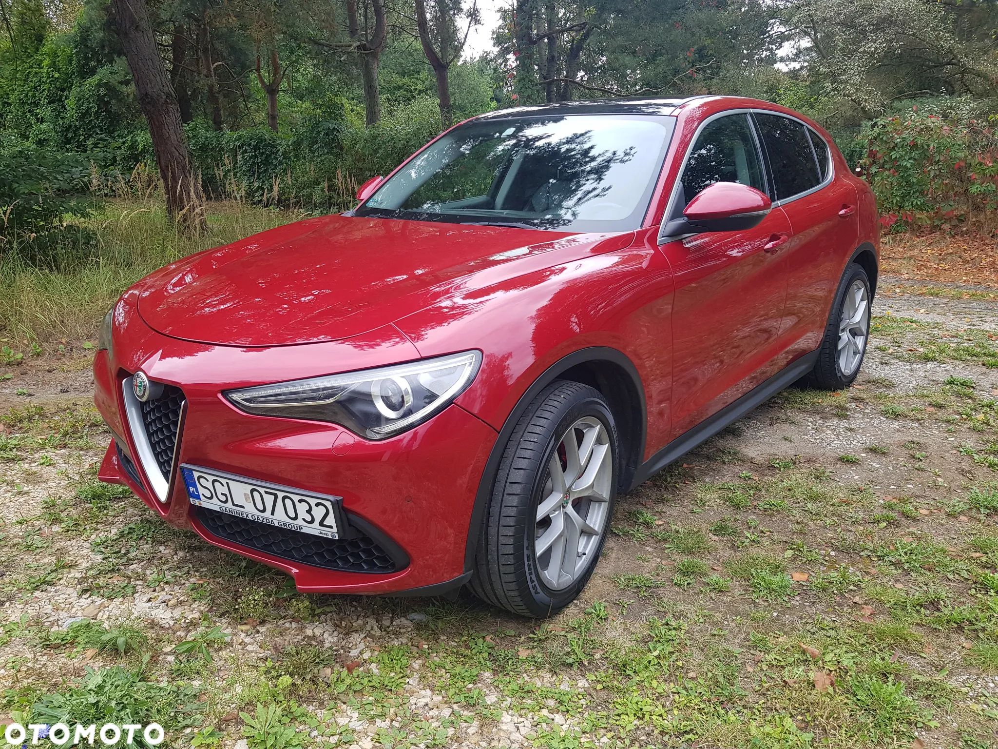 Alfa Romeo Stelvio 2.0 Turbo First Edition Q4 - 1