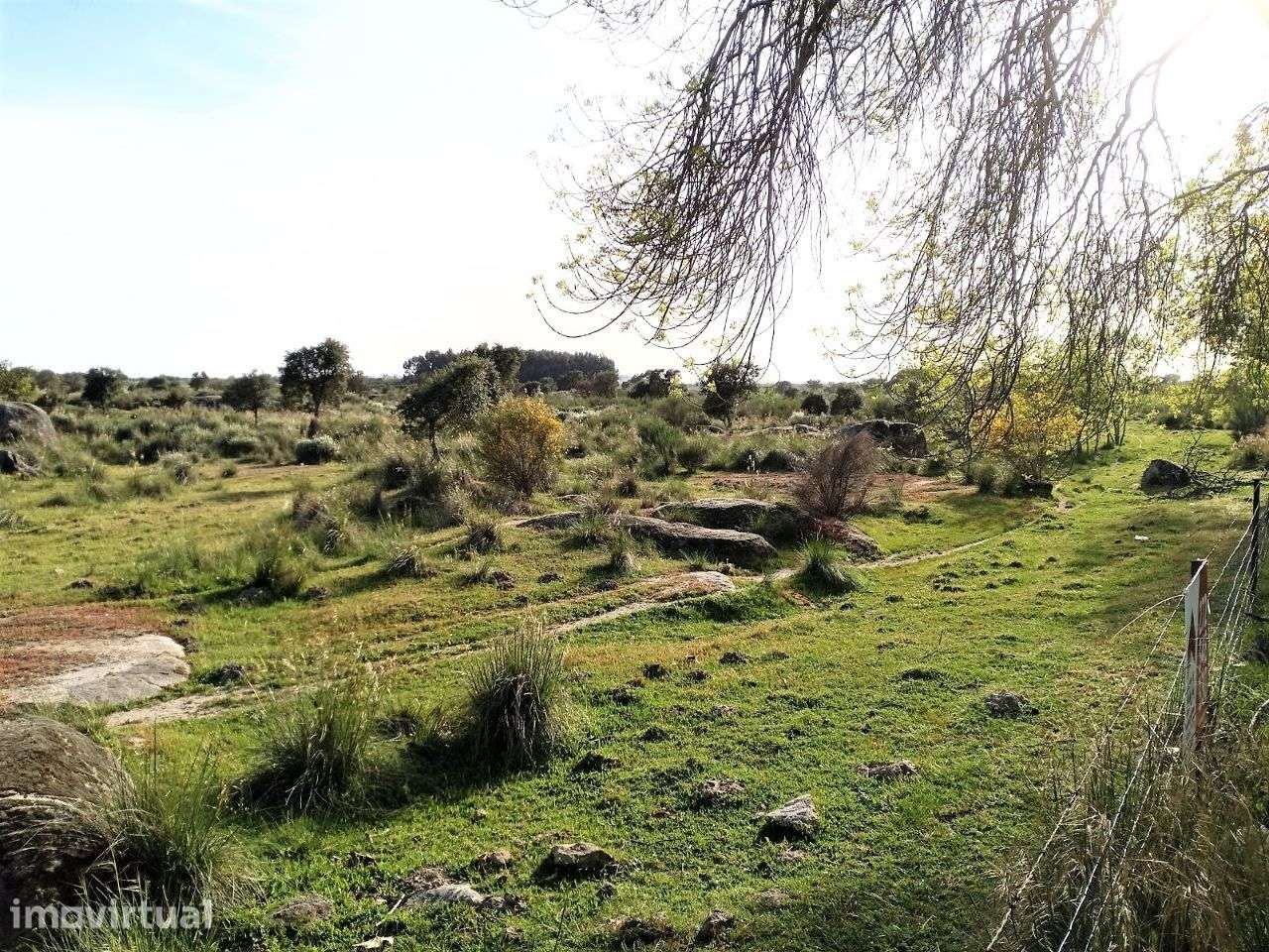 Terreno - Grande imagem: 5/5