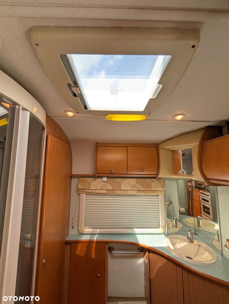 Avondale Golden Avocet - 31